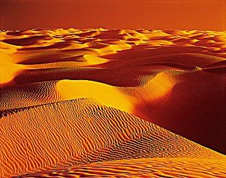 卡普空暗示《逆转裁判》系列新作正在筹备中